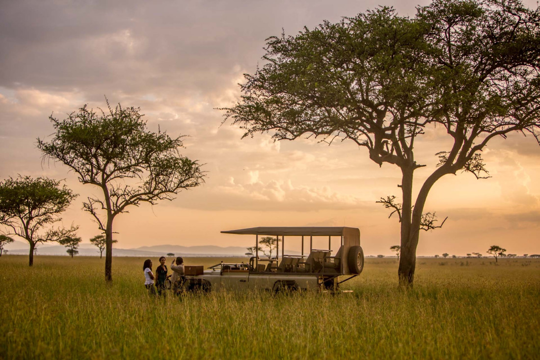 Les 10 Meilleurs Safaris D’Afrique Du Sud